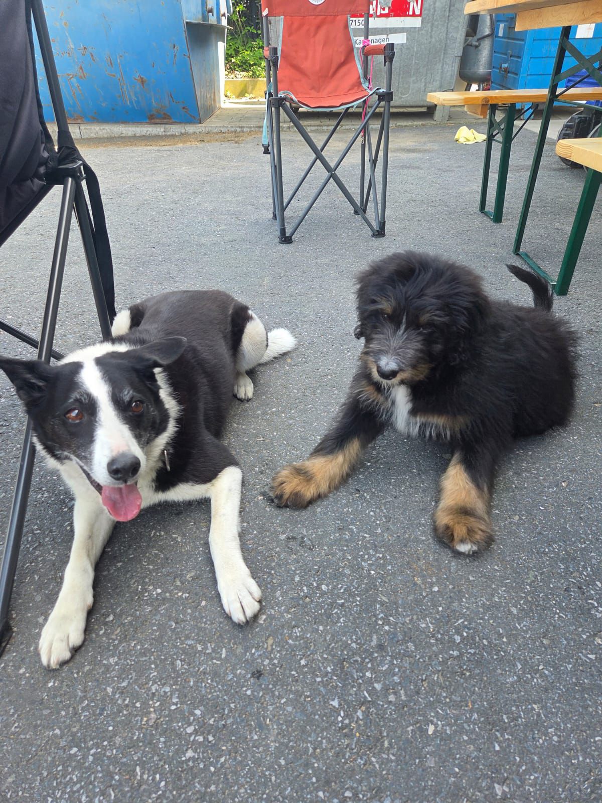 Fynn & Fritz